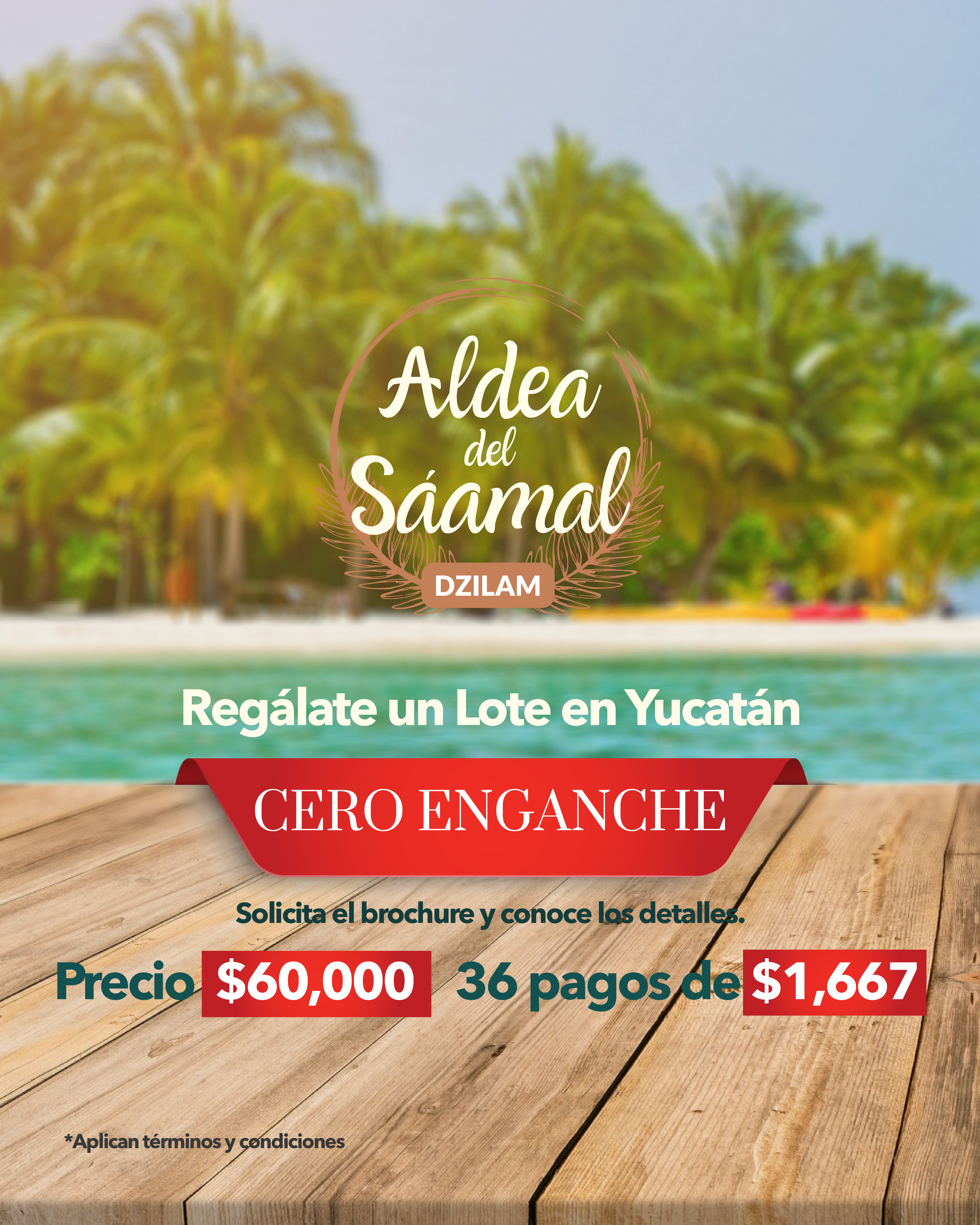 Imagen de desarrollo